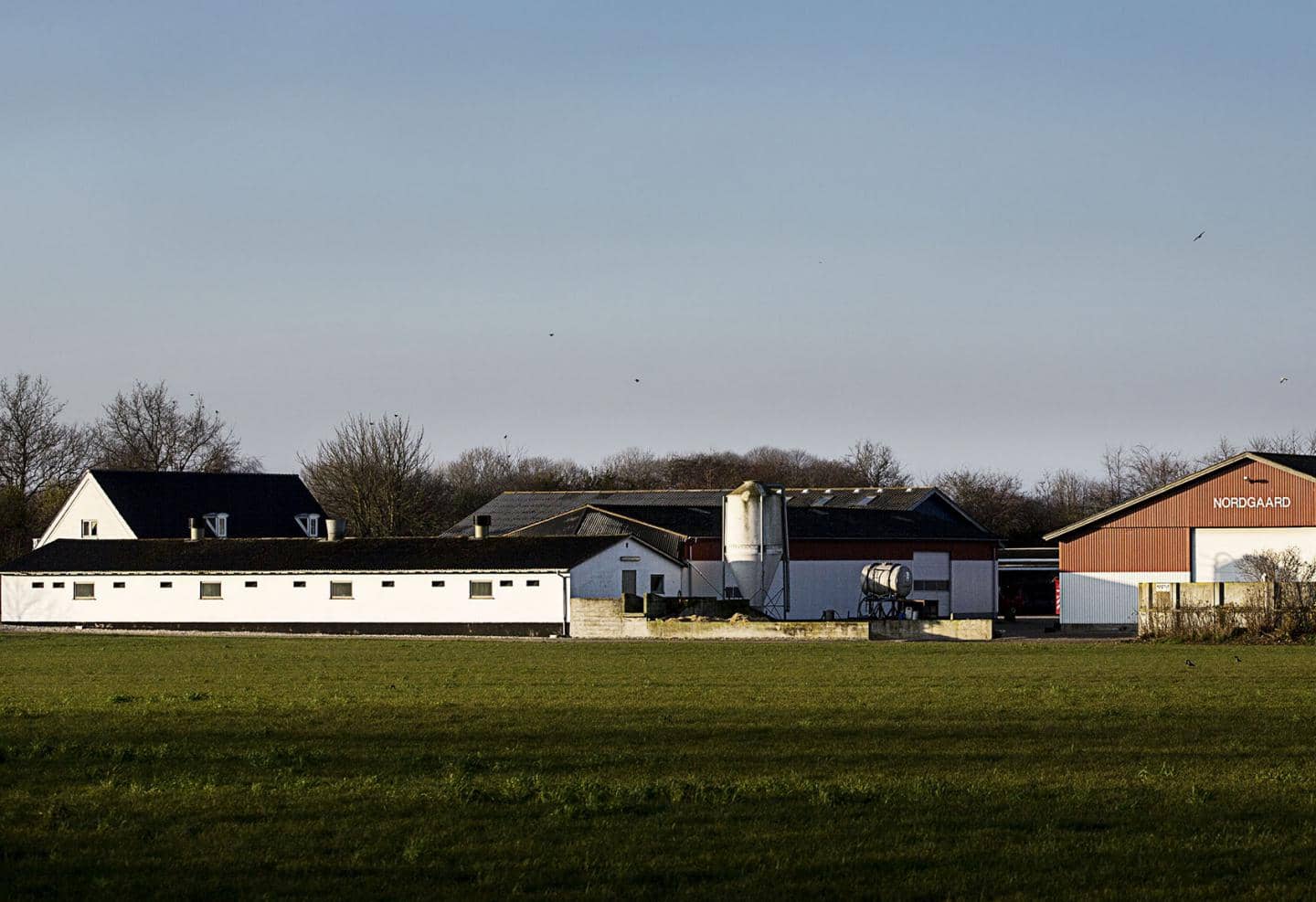 Landbo - Sundhed, Liv og Pension, nedlagt landbrug, stor privat gård med blå himmel